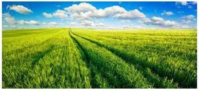 Vast - Of very great extent or quantity. (विशाल) 