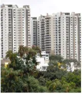 Nri investments in residential properties growing at 15 20%