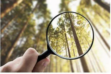 Explicit - Stated clearly and in detail, leaving no room for confusion or doubt. (स्पष्ट)