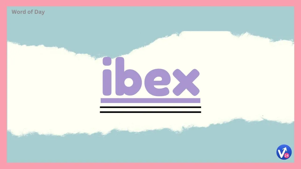 Ibex