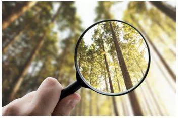 Explicit - Stated clearly and in detail, leaving no room for confusion or doubt. (स्पष्ट)