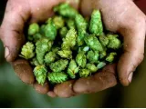 Germany’s beer sector relies on education to combat climate change