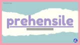 Prehensile
