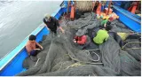 Vietnam condemns china’s assault on fishermen in south china sea