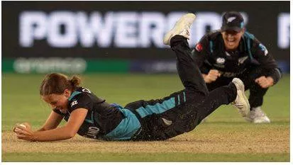Nz wins  knocks india out of world cup