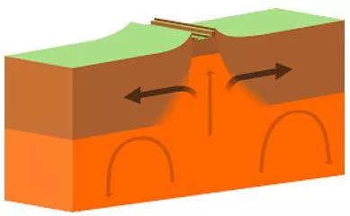 Divergence - Tending to be different or develop in different directions.