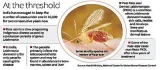 India to seek certification from who for eliminating kala azar