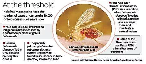 India to seek certification from who for eliminating kala azar