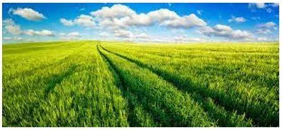 Vast - Of very great extent or quantity.
