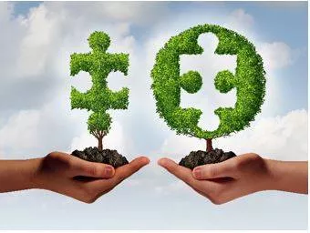 Affiliated - Connected with or controlled by a group or organization.