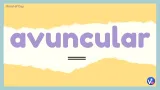 Avuncular