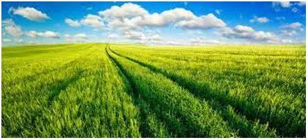 Vast - Of very great extent or quantity. (विशाल) 