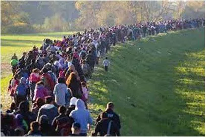 Migrated - Movement from one part of something to another. (प्रवास) 