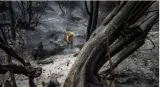 A wildfire fueled by strong winds has devastated southern california  thousands evacuated
