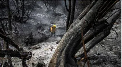 A wildfire fueled by strong winds has devastated southern california  thousands evacuated