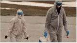 Canada's first presumptive human h5 bird flu case detected in british columbia  doctors call it a ‘rare event’