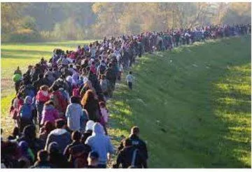 Migration - Movement from one part of something to another.