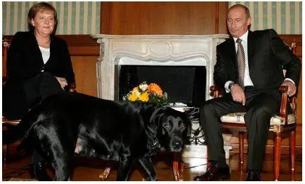 Merkel’s memoirs recall ‘power games’ of putin  contrasting u s  presidents