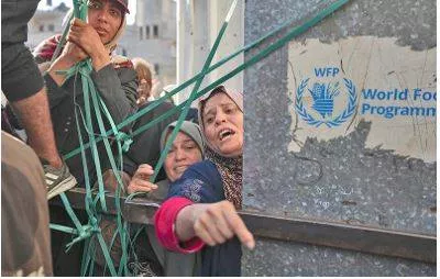 Israel committing genocide against palestinians in gaza  says amnesty