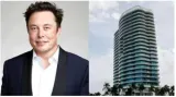 Amid musk trump bromance  ceo shelling out $100m for beauty mogul's palm beach penthouse minutes away from mar a lago