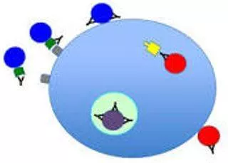 Neutralized - Make (something) ineffective by applying an opposite force or effect.