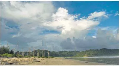 Govt seeks larger bench for great nicobar infra project 
