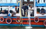 Seeds of short neck clam released in ashtamudi lake to replenish population