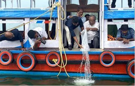 Seeds of short neck clam released in ashtamudi lake to replenish population