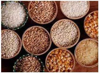 Provision - The action of providing or supplying something for use. (प्रावधान)
