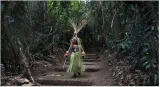 Formulate policy to manage sacred groves  sc tells govt  