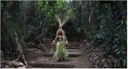 Formulate policy to manage sacred groves  sc tells govt  