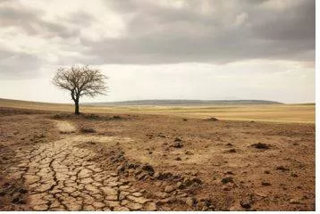 Barren - (of land) Too poor to produce much or any vegetation. (बंजर) 