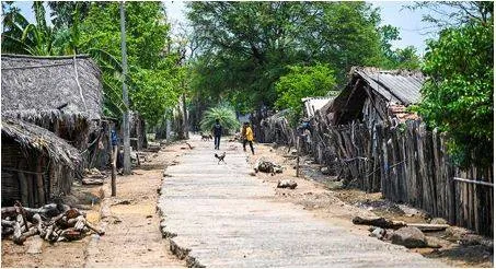 Groups termed ‘naxal fronts’ by cong  govts  took part in bharat jodo yatra  fadnavis