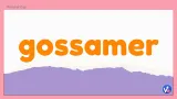 Gossamer