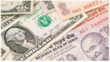 Rupee logs steepest intraday decline in nearly two years