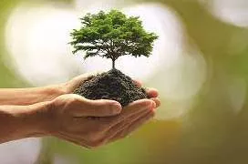 Prosperity - Successful in material terms (समृद्ध) 