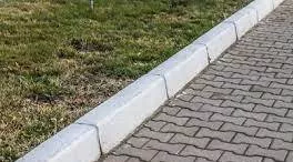 Curbing - A check or restraint on something. (नियंत्रण) 