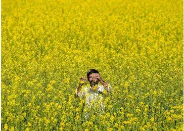 Experts on gm crop panels to declare conflict of interest