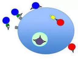 Neutralized - Make (something) ineffective by applying an opposite force or effect.