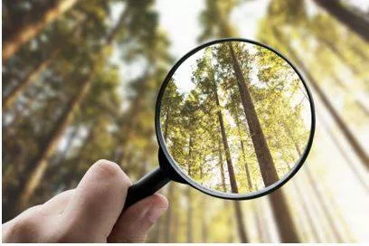 Explicitly - Stated clearly and in detail, leaving no room for confusion or doubt.