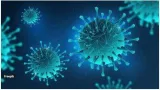 Two hmpv cases detected in karnataka  no link to china surge  know the symptoms  how it is transmitted
