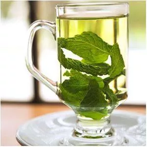 Infuse - To fill or soak something with a particular quality, substance, or idea. (परोसना)