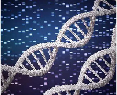 India releases compilation of 10 000 human genomes from 83 population groups