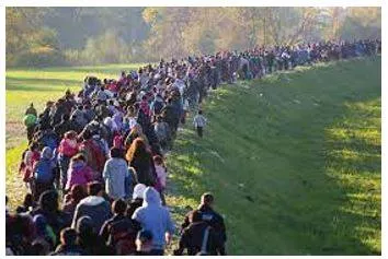 Migration - Movement from one part of something to another.