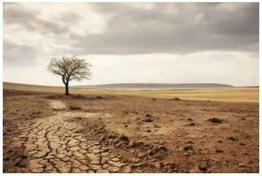 Barren - (of land) Too poor to produce much or any vegetation. (बंजर) 