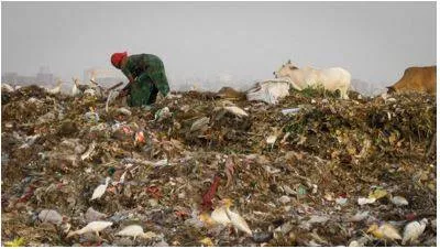 Scavenging - Searching for and collecting discarded or leftover items, often for reuse or survival. (खोज कर इकठ्ठा करना)