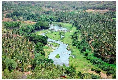 Do not reduce forest land for linear projects  says sc