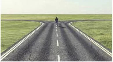 Bifurcation - The state of being divided into two branches or parts. (विभाजन)