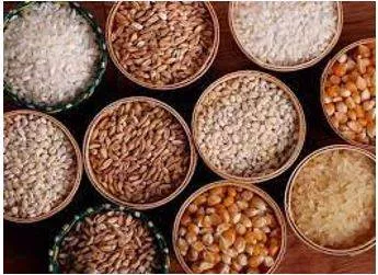 Provision - The action of providing or supplying something for use. (प्रावधान)