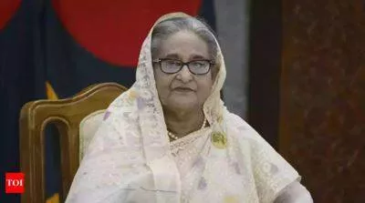 Human rights abuses inflicted on bangladesh hindus  un
